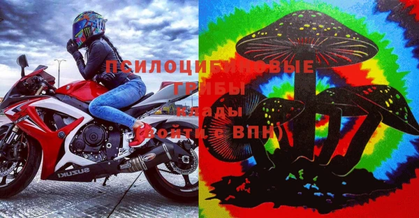 Альфа ПВП Надым